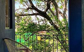 La Betulia Bed&Breakfast